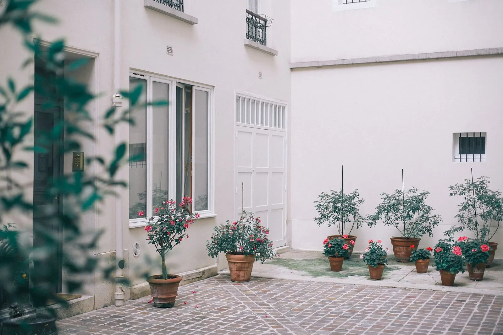 Terrasse en briques avec plantes en pot à Lyon